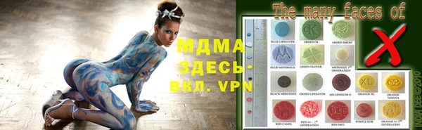 первитин Богданович