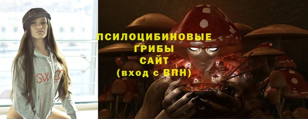 первитин Богданович