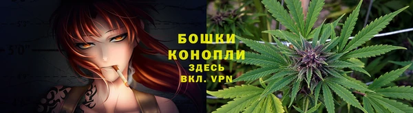первитин Богданович
