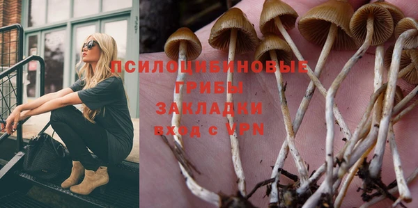 МДПВ Богородицк