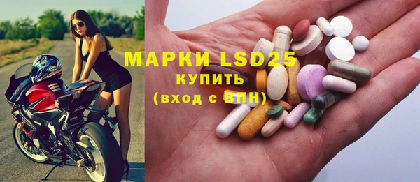 первитин Богданович