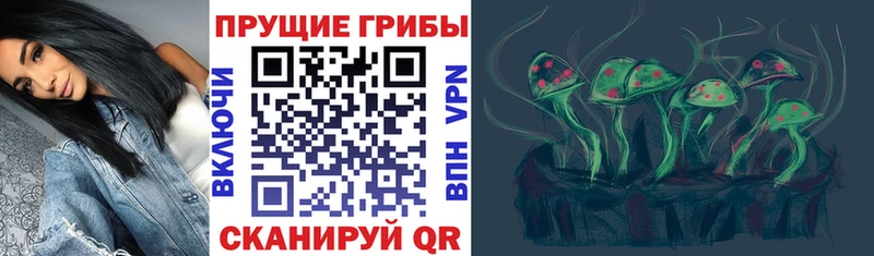 Галлюциногенные грибы MAGIC MUSHROOMS  Новохопёрск 